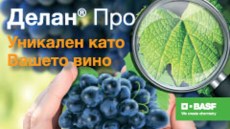 ДЕЛАН® ПРО 