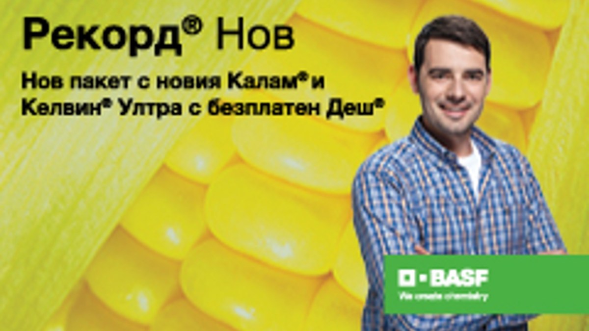 РЕКОРД® НОВ