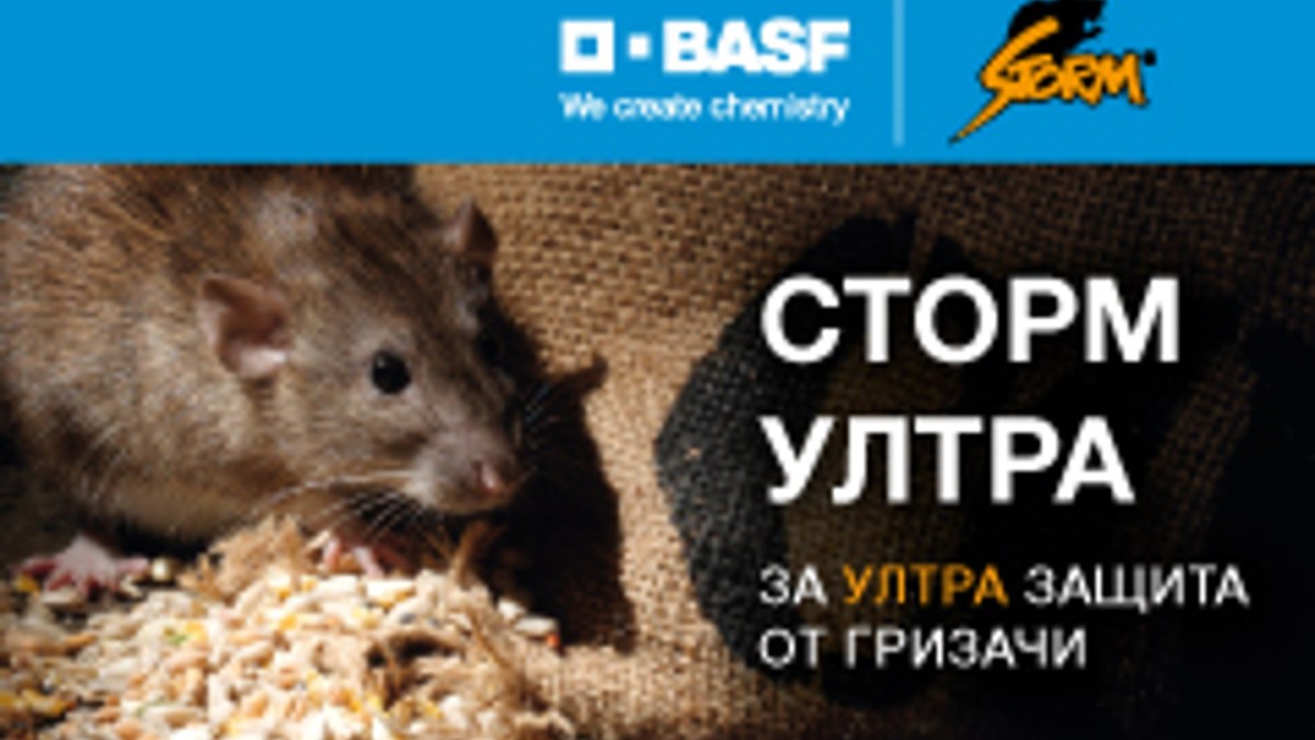 СТОРМ