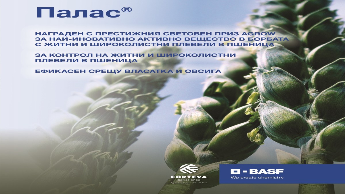 ПАЛАС®