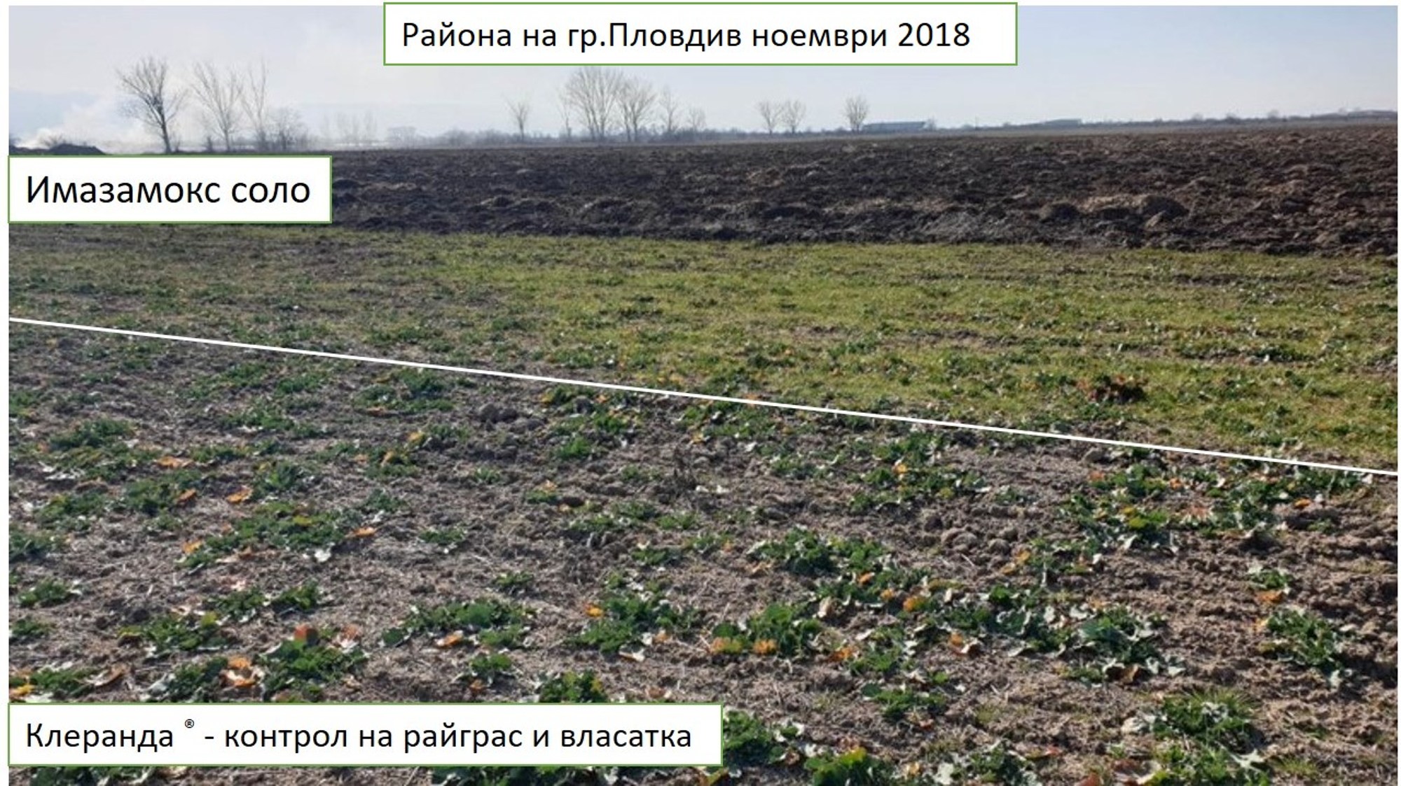 Клеранда®
