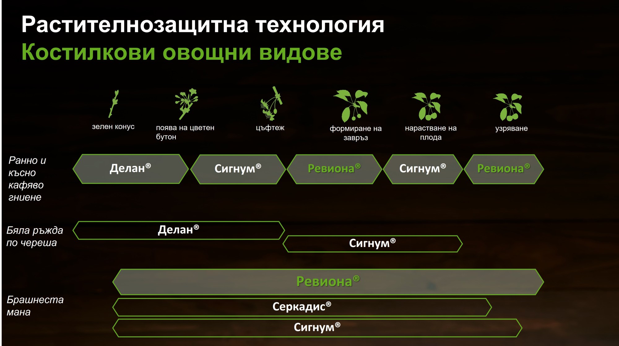 Костилкови плодове