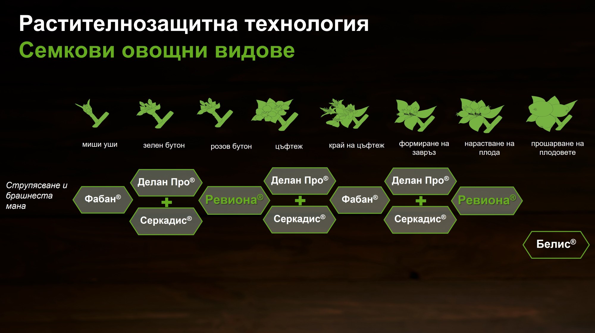 Семкови плодове