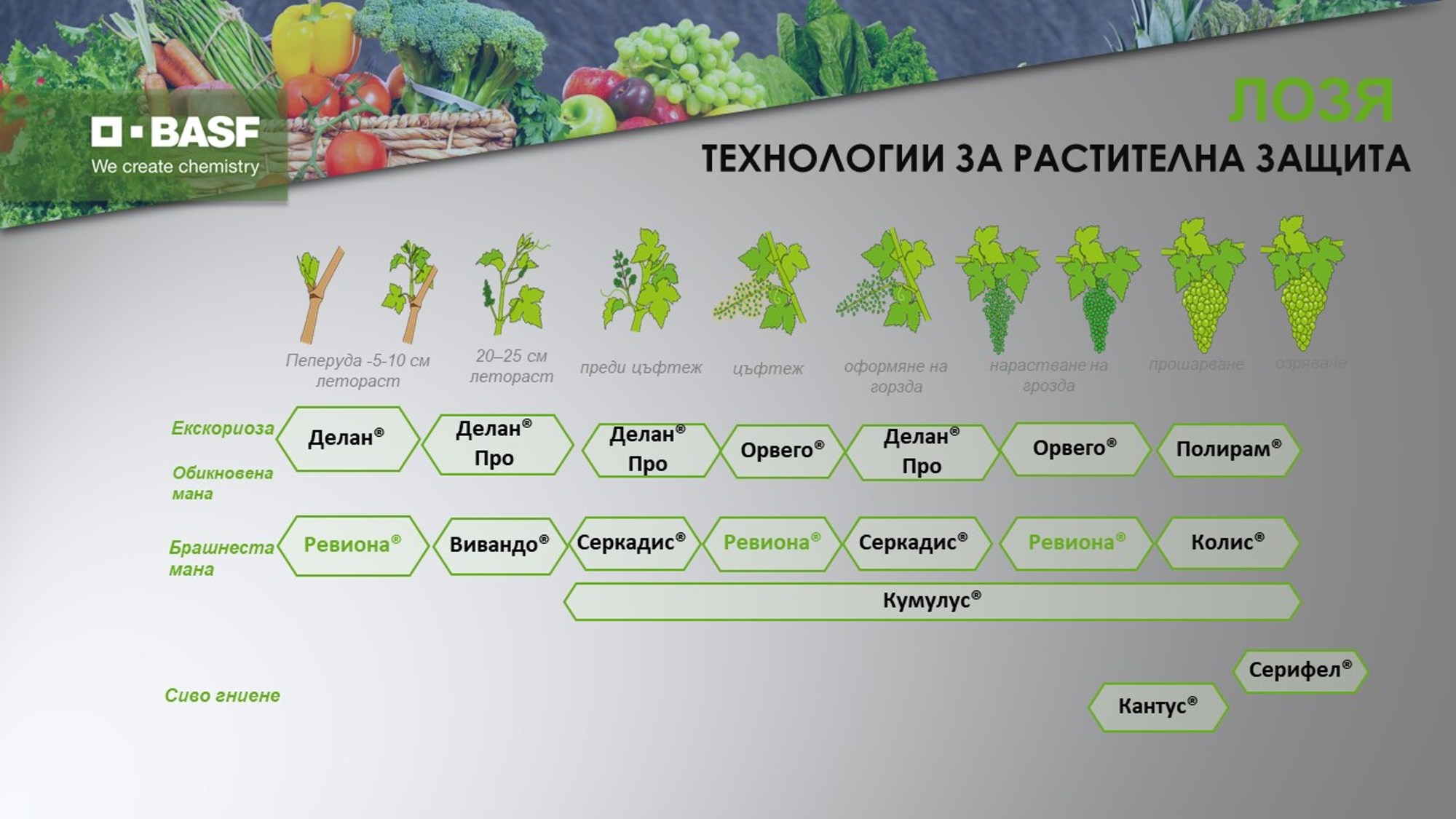 Лозя