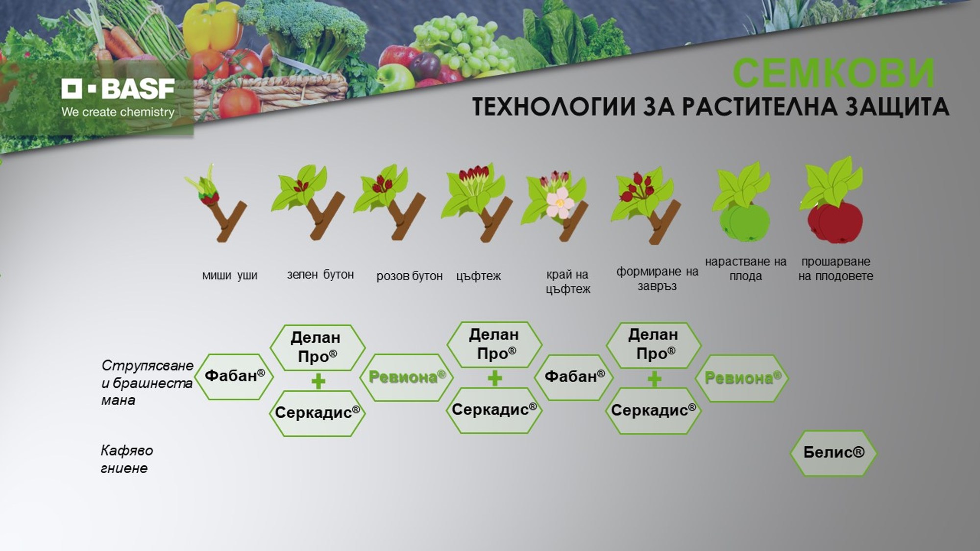Растителнозащитна технология семкови овощни видове 2024