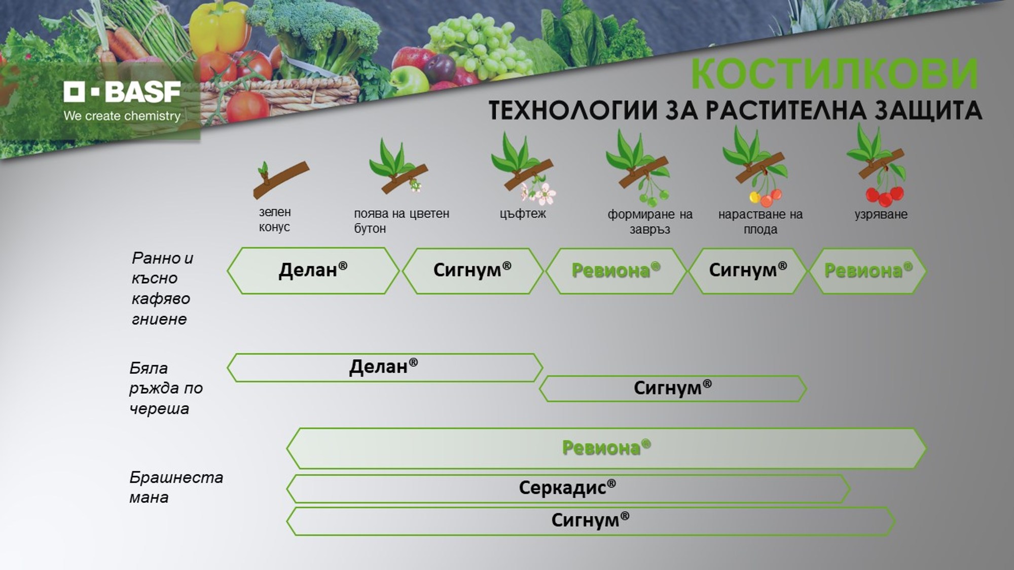 Растителнозащитна технология костилкови овощни видове 2024