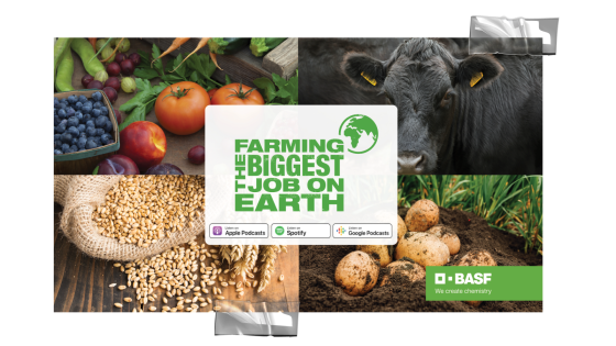 Farming, the Biggest Job on Earth: Affording the right to eat in Farming, the Biggest Job on Earth (soundcloud.com)