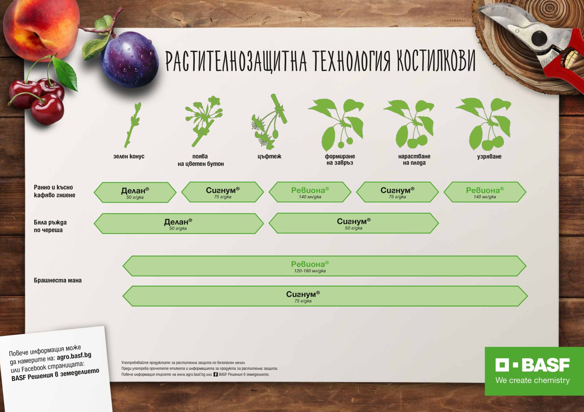 Растителнозащитна технология костилкови овощни видове 2024