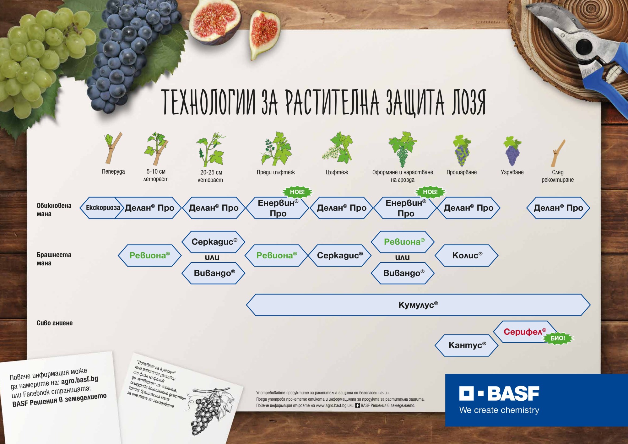 Растителнозащитна технология семкови лозя видове 2024