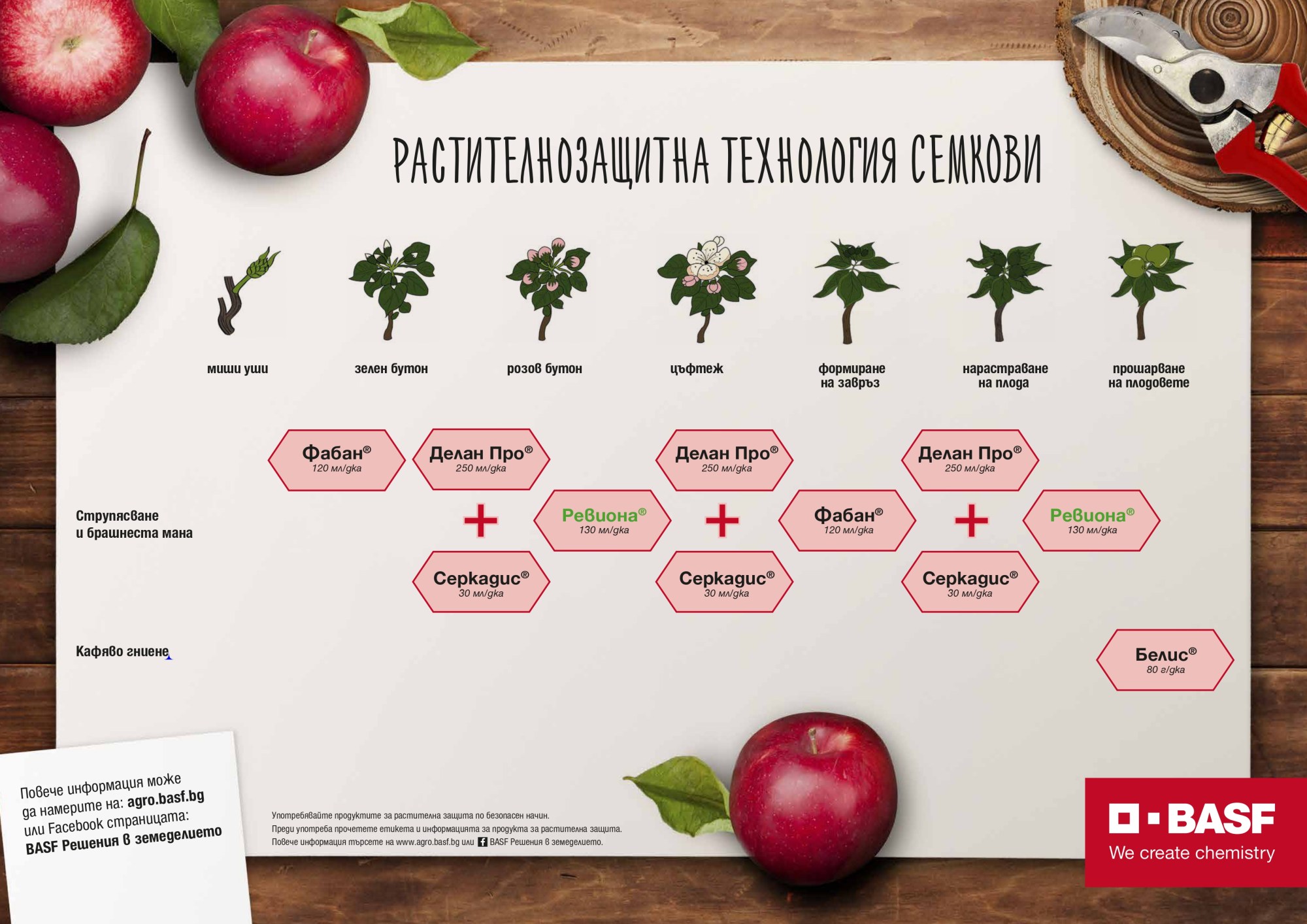 Растителнозащитна технология семкови овощни видове 2024
